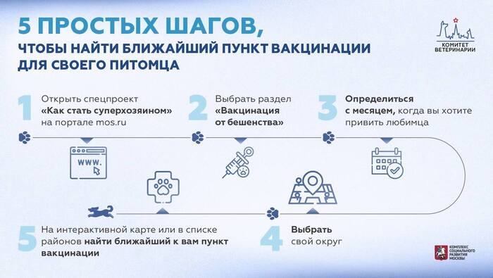 Больше 120 пунктов вакцинации откроют на площадках для выгула собак