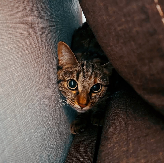 ��� ���?