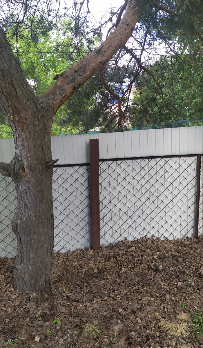 Орнитологи есть среди пикабушников?