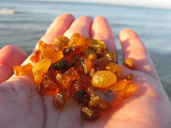 Как император Нерон создал моду на янтарь Ювелирные изделия, Украшение, Древний Рим, Нерон, Янтарь, Драгоценные камни, Драгоценности, Длиннопост Как император Нерон создал моду на янтарь Ювелирные изделия, Украшение, Древний Рим, Нерон, Янтарь, Драгоценные камни, Драгоценности, Длиннопост