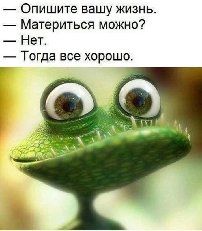 Среда юмор картинки