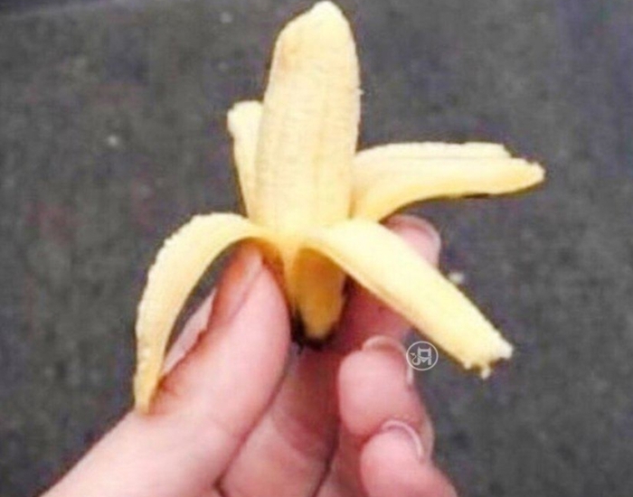    ,   :&quot;    ? &quot;