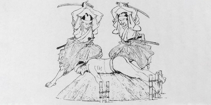 10 ужасных вещей, которые считались нормальными среди самураев Самурай, Япония, Катана, Саке, Сепуку, Обычаи, Гифка, Длиннопост