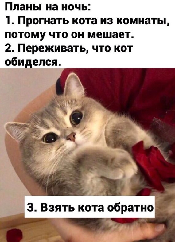    , ,   , , 