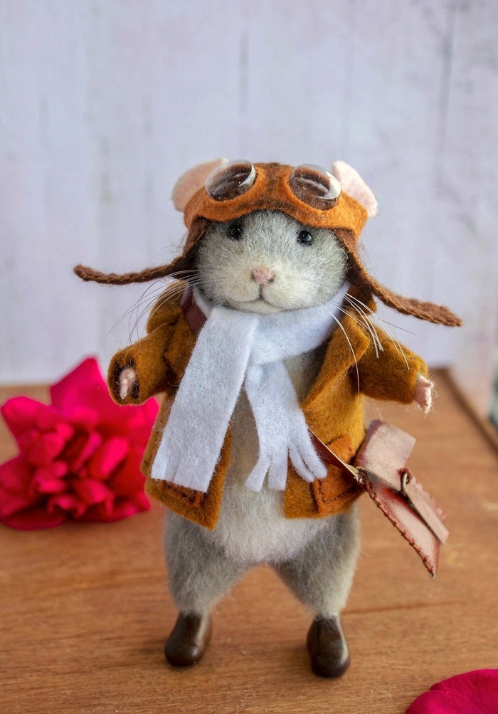 Лётчик Мышкин