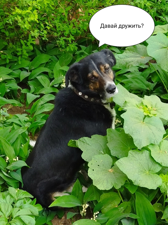 Никто не пострадал | Пикабу