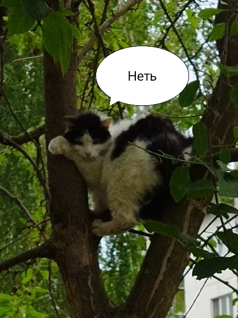 Никто не пострадал | Пикабу