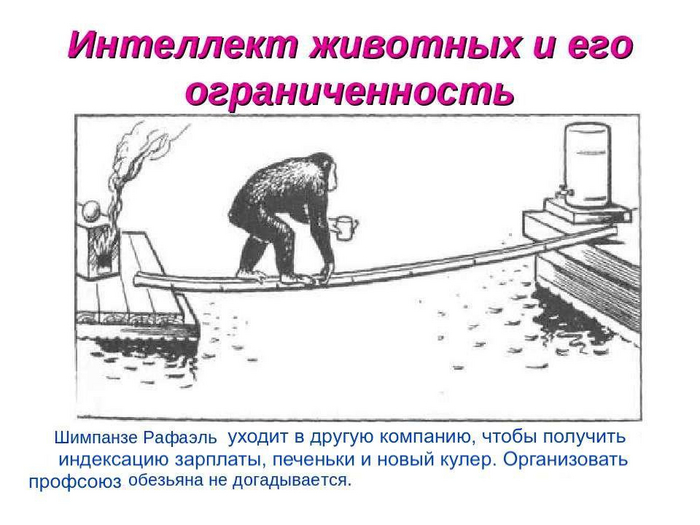 Нет-нет, это не про тебя