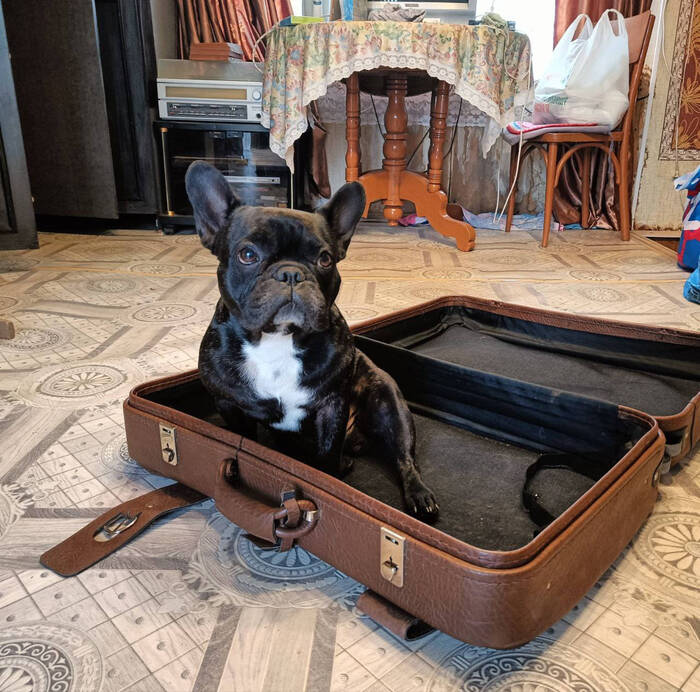 �������! � � ��� �� �������� ������. �������!!