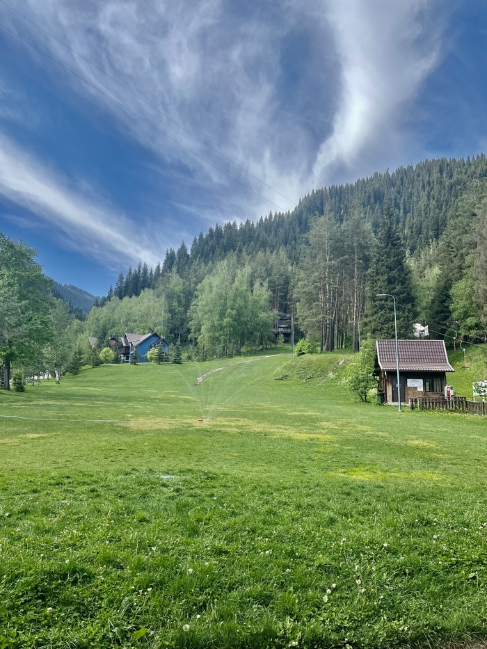 Фото лесная сказка алматы