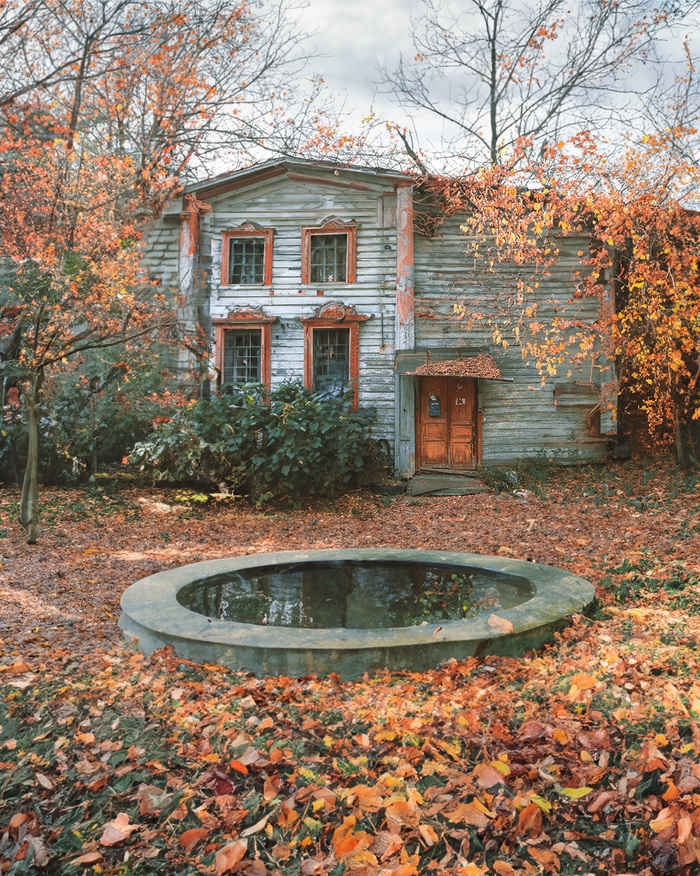 В заросшем парке стоит старинный дом