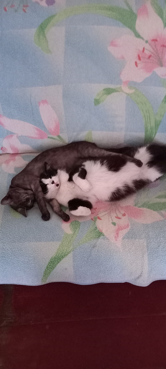   , , ,  