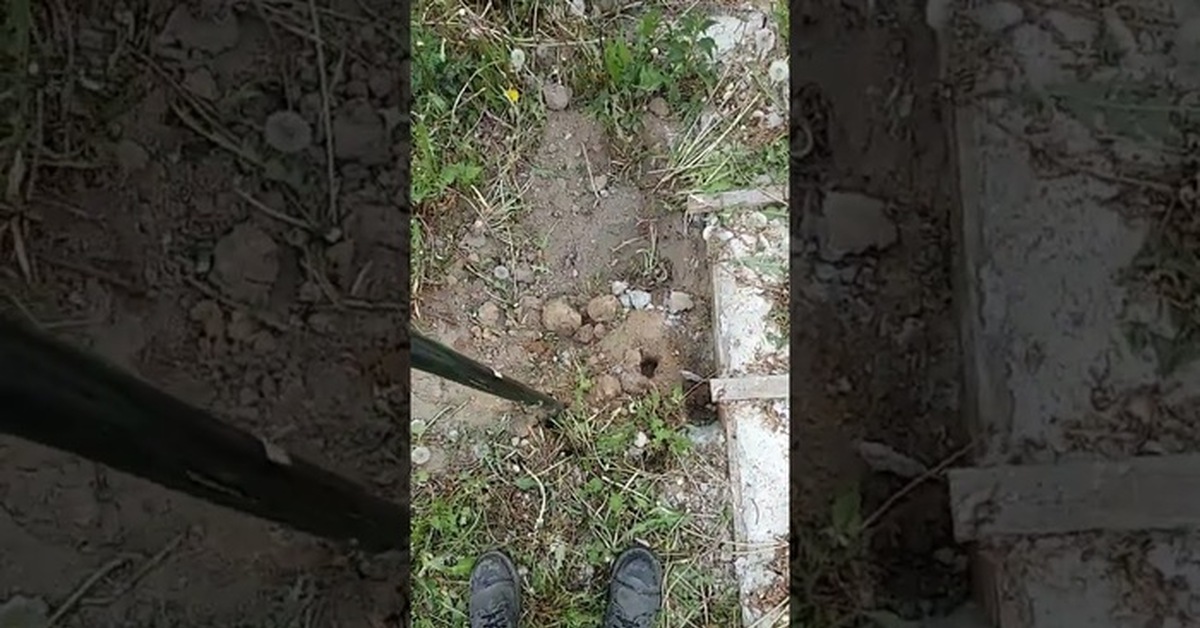 Отдых на даче | Пикабу