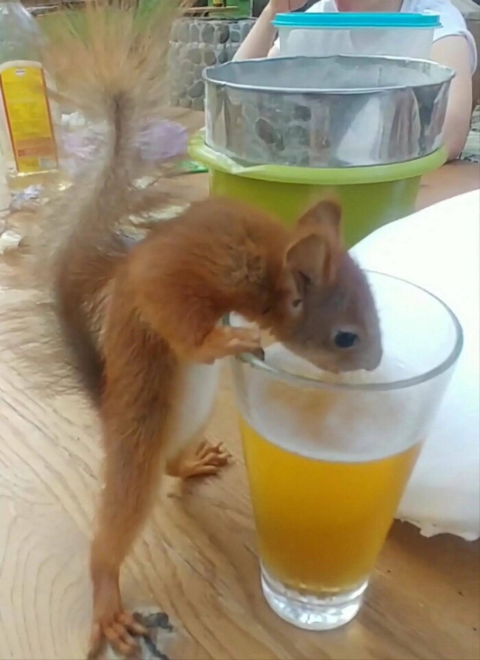 �������