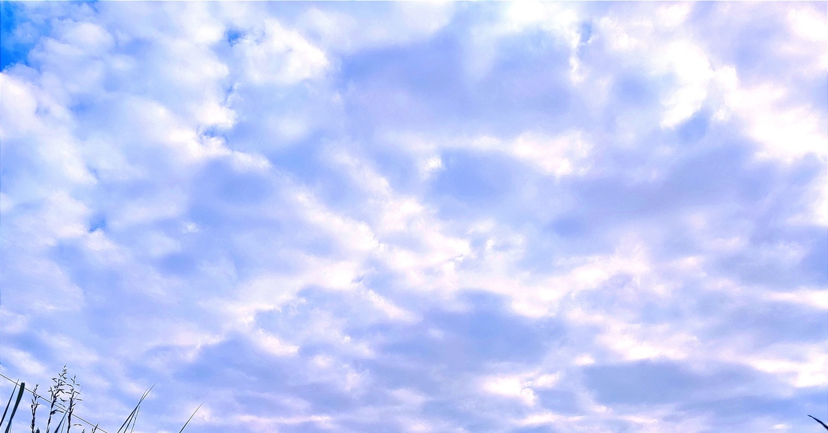 На работу сквозь мокрую траву... | Пикабу