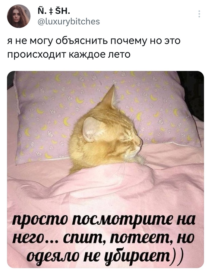 В жару под одеялом