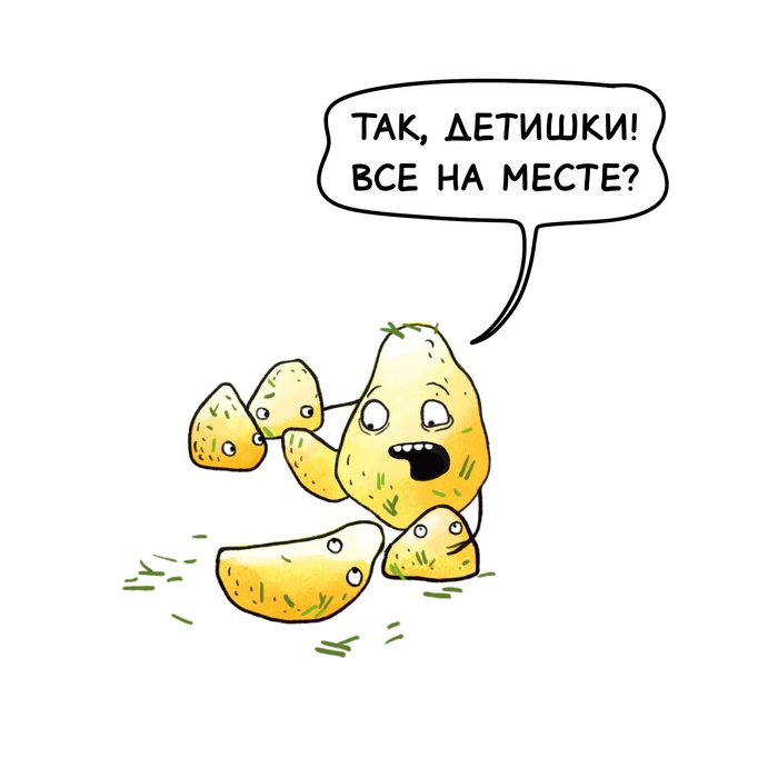       ,  , 