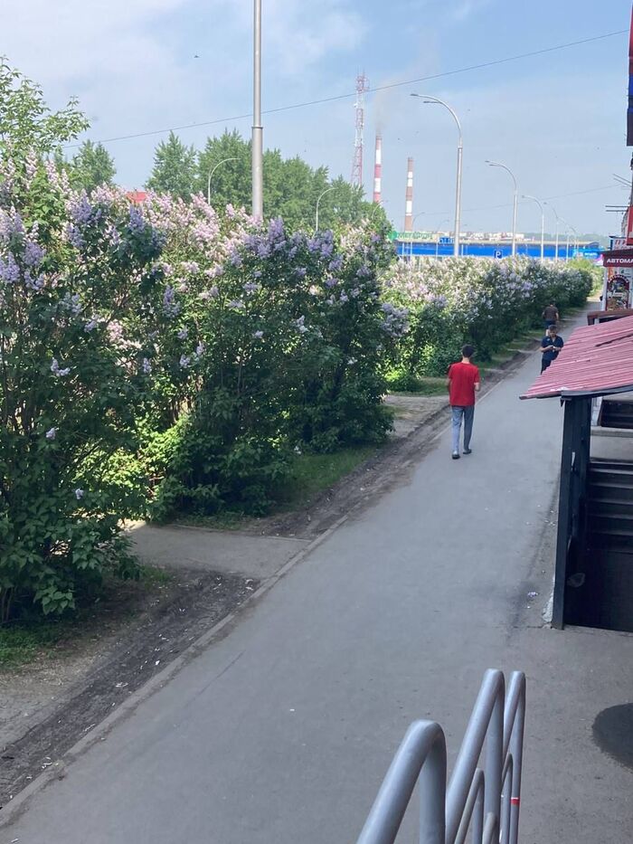 ���� ��� ������� ����� ������...