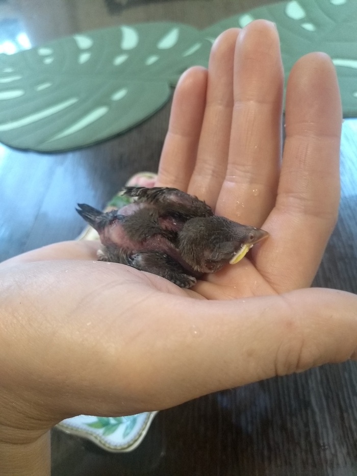 ���������� �������