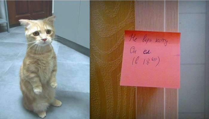 На жалость...