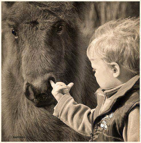 Терпение, только терпение! | Пикабу