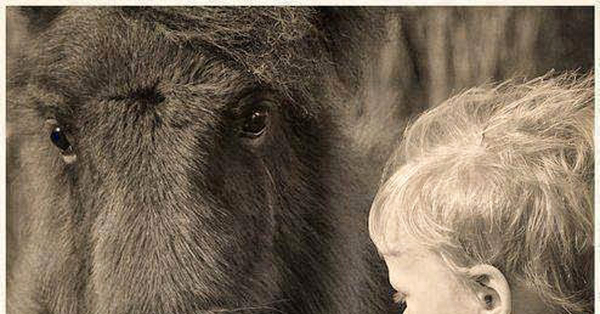 Терпение, только терпение! | Пикабу