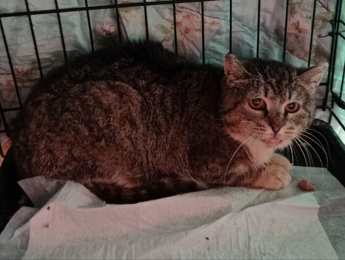 ����������� ����� �� ���� ��������� ���������� ������� � ���. � ������ ���������