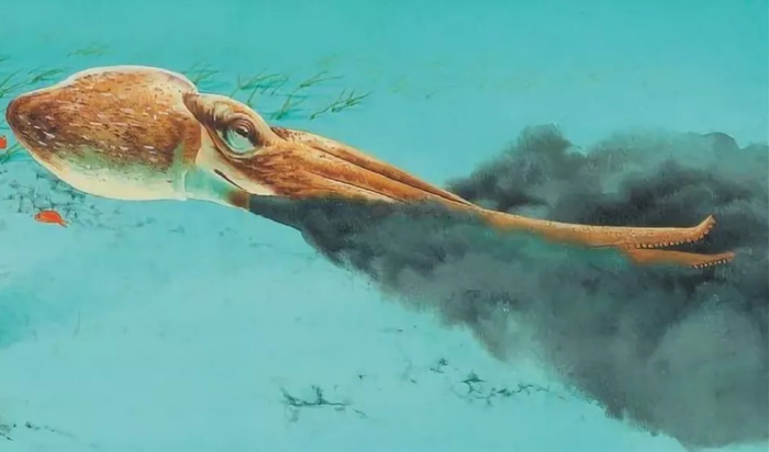 В чернилах осьминогов нашли средство против рака