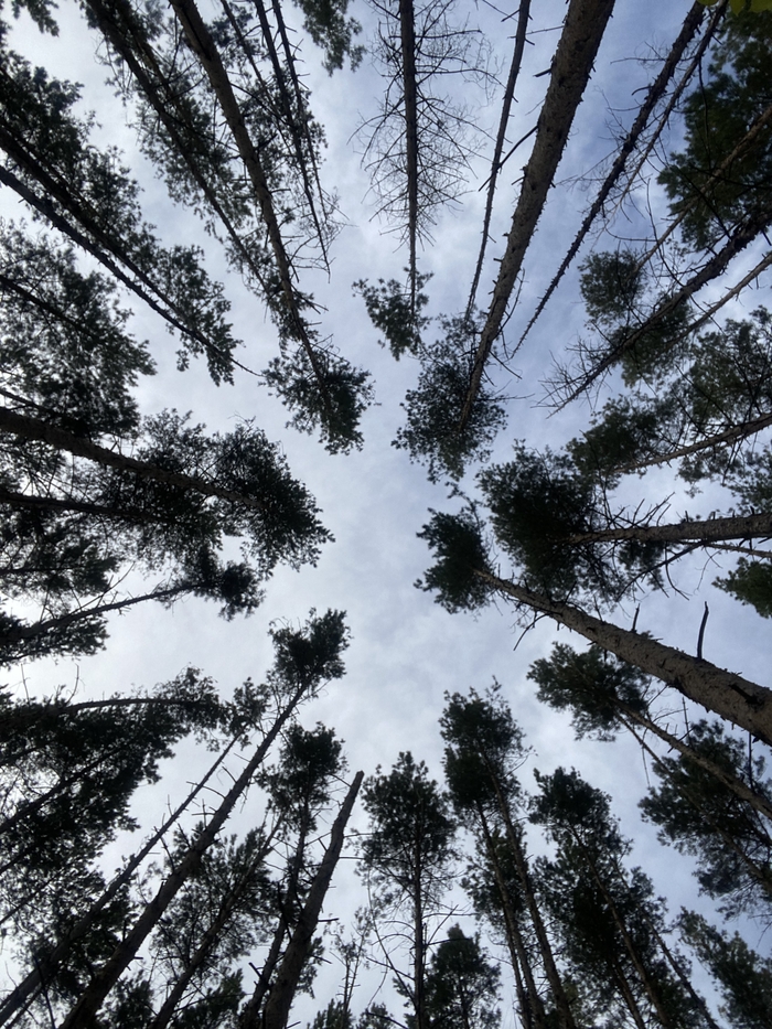 Злые какие-то тут все… | Пикабу