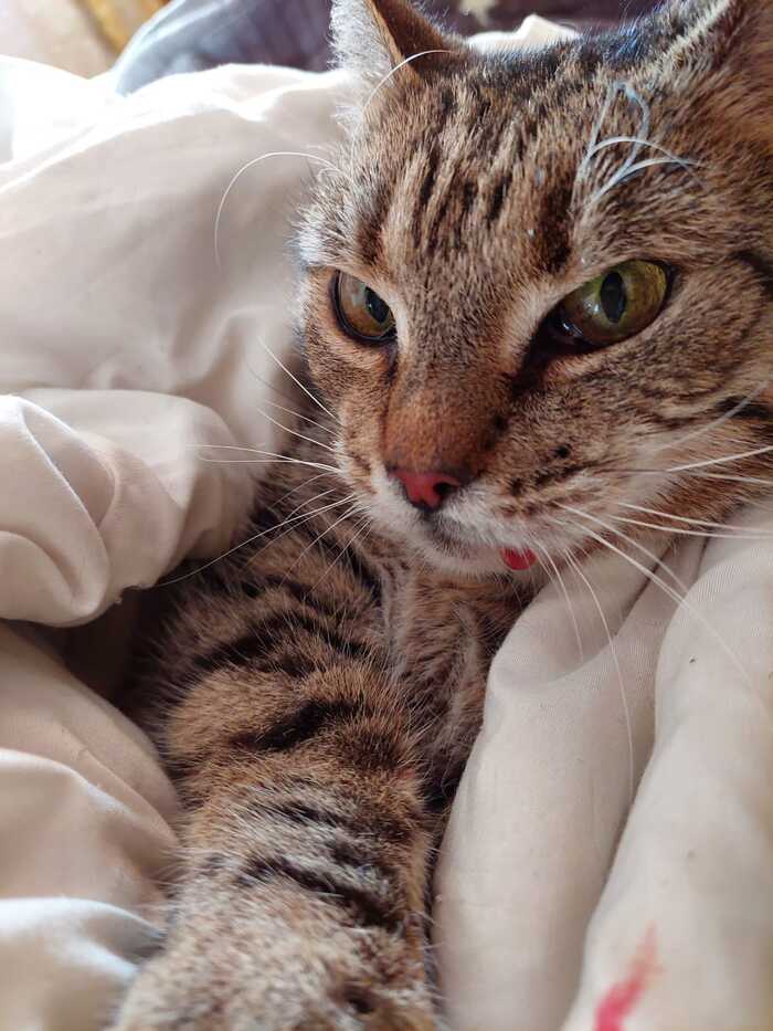  ,    ,  ,   , , -,  , , , 