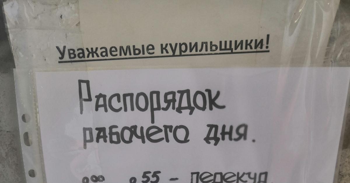 Лучшая работа в мире | Пикабу