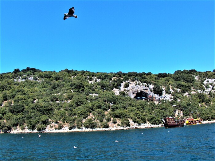 Полет | Пикабу