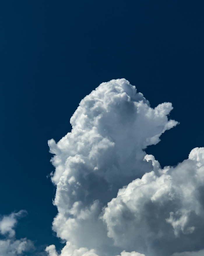 Вершина вершин