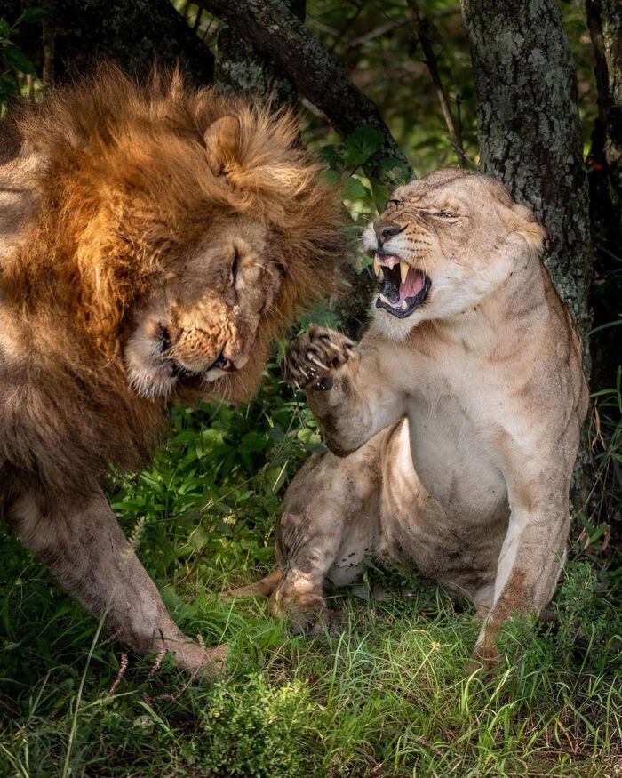 Счастливая жена, счастливая жизнь