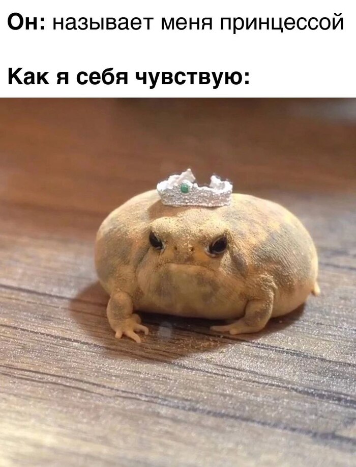 Спасибо за комплимент, конечно