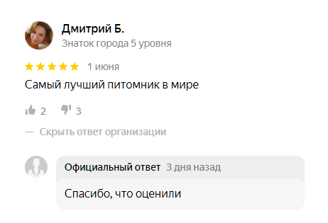 Как оставить отзыв Яндекс.Картам? | Пикабу