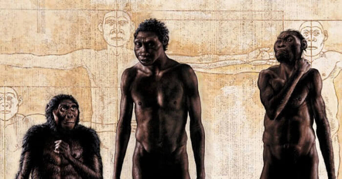 Как произошел самый 1 человек. Хомо сапиенс в Африке. Первые люди хомо сапиенс. Homo Naledi.