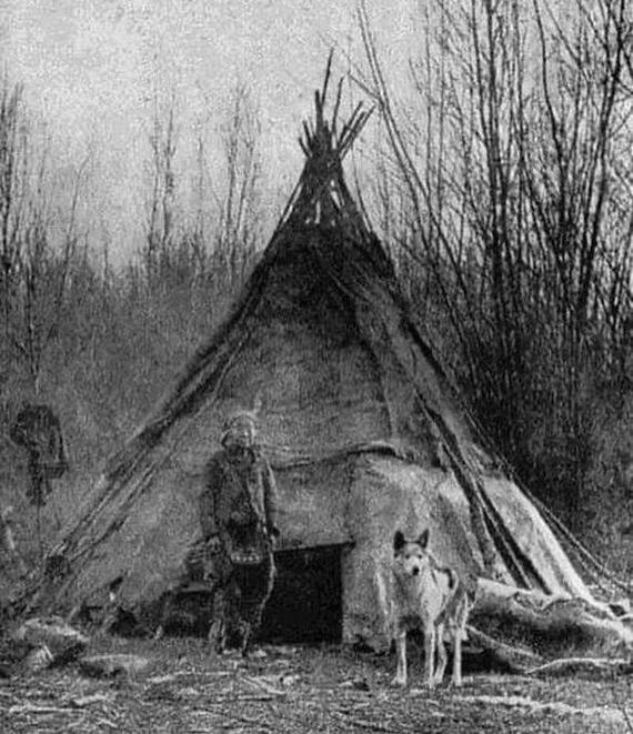 Индеец и волк живут вместе