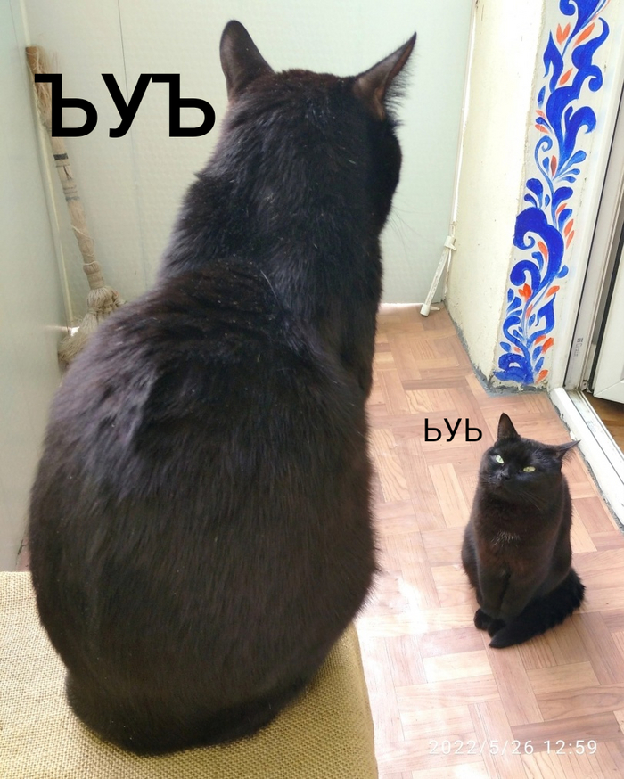 ����� �� ���� ��������