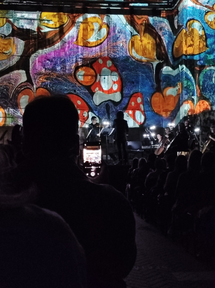 ����� ������� ���� �������*