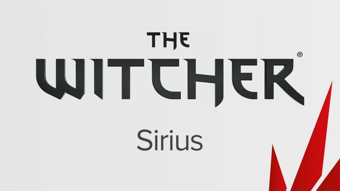  -  ""  ,      , , , CD Projekt, , , ,  , Gamedev