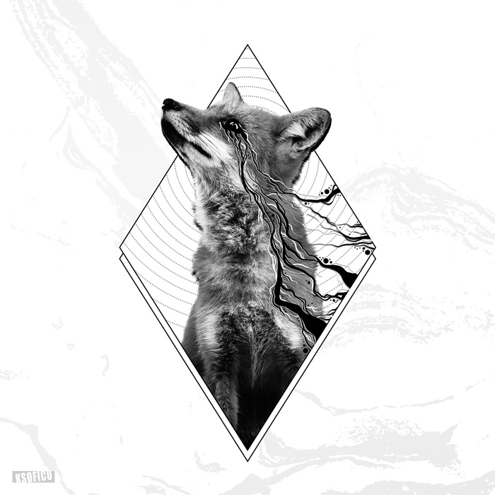 Лисица | Пикабу