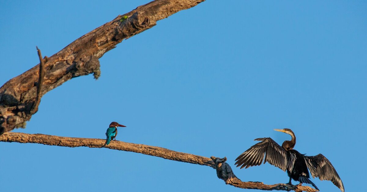 Поговорим, брат? | Пикабу