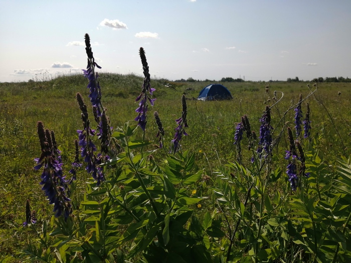 Ильменский глинт новгородская область фото