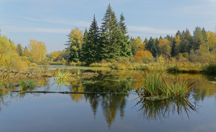 А зори здесь тихие