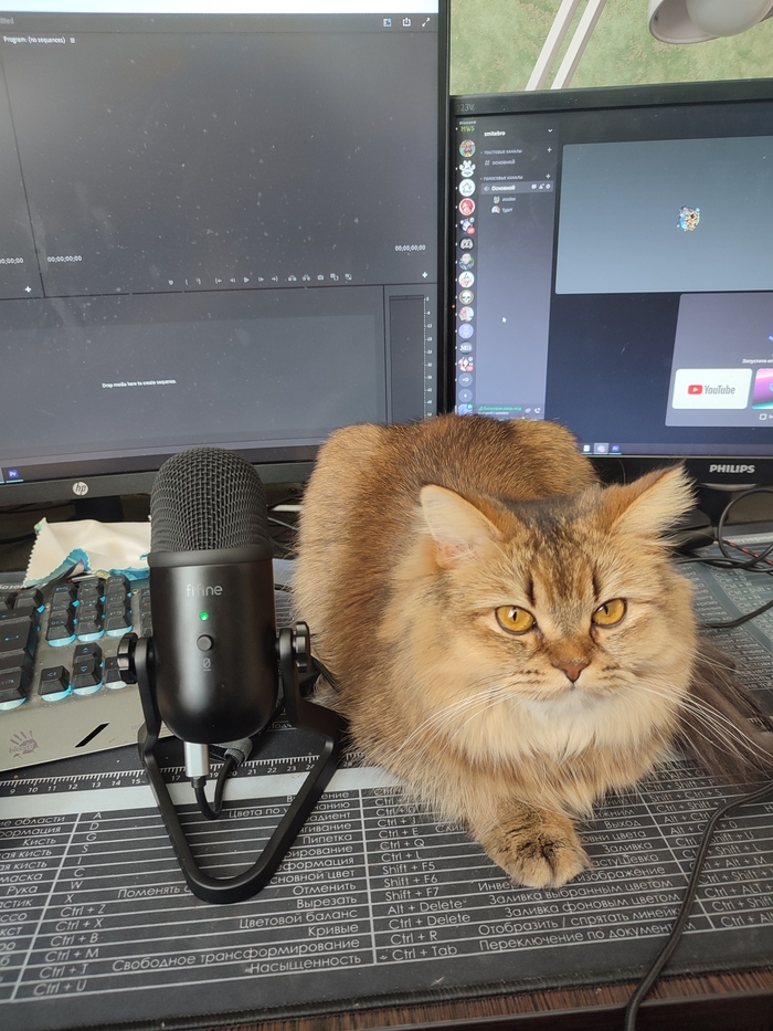 ����� �������