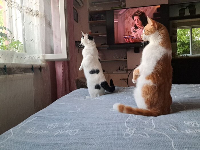 Суслик зверь полезный