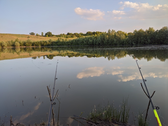 Последнее фото из галереи