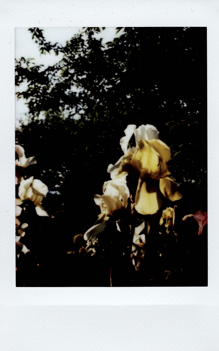 Lomo , ,  , , , ,  ,  , , 