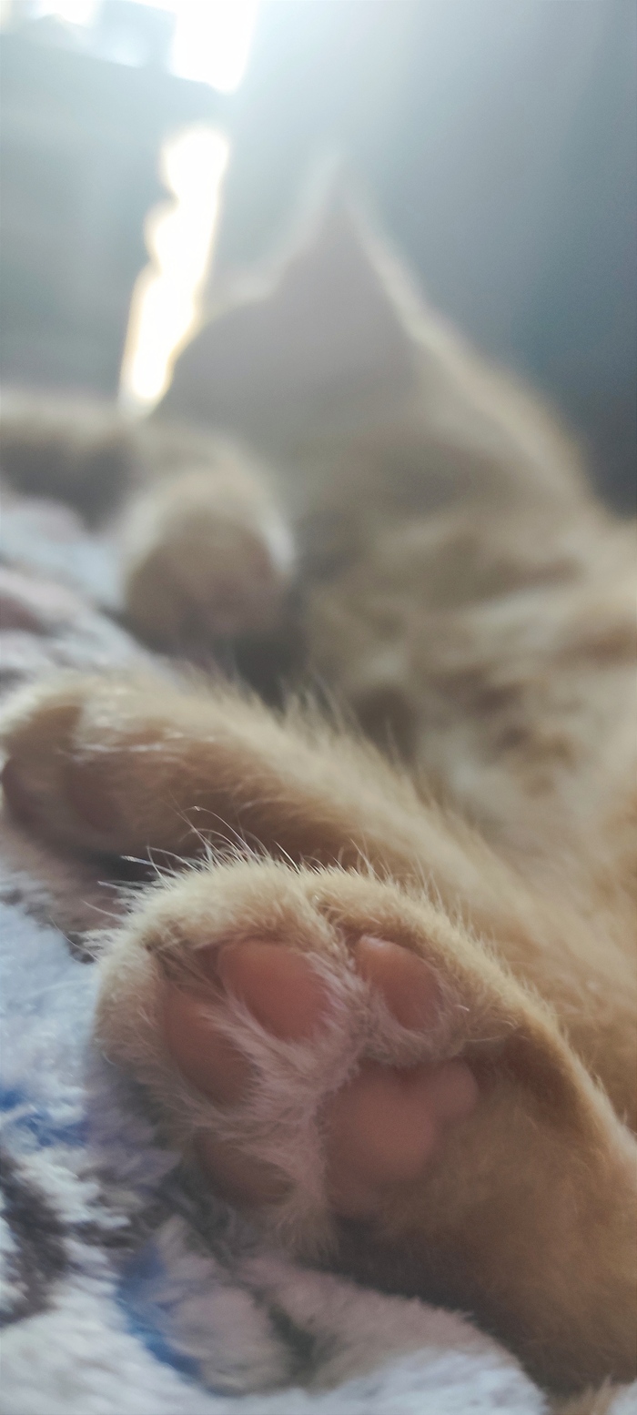      , , ,  , , 